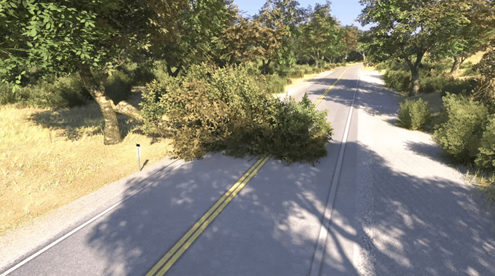 Collapsed tree branch on highway.