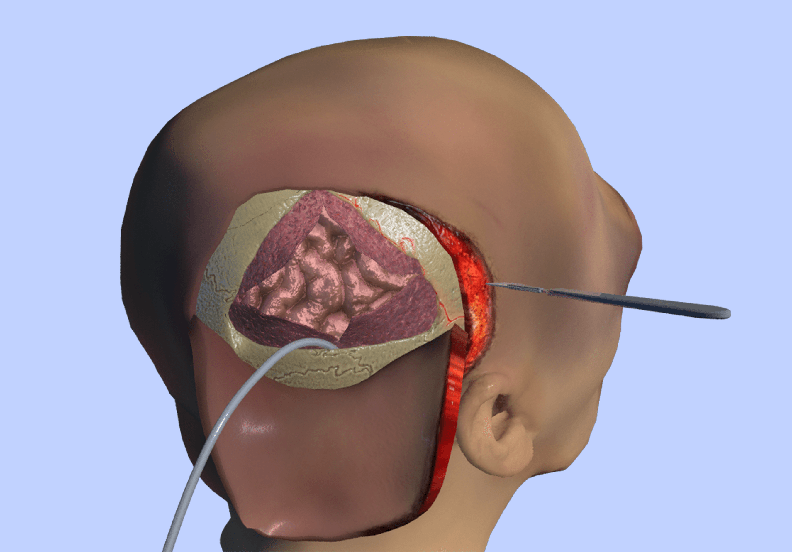 3D Forensic Logo